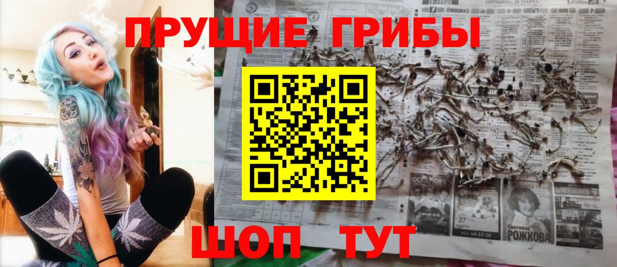 Псилоцибиновые грибы MAGIC MUSHROOMS  Галлюциногенные грибы мухоморы  Красноармейск  Вход с VPN 